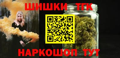 шишки Камышлов