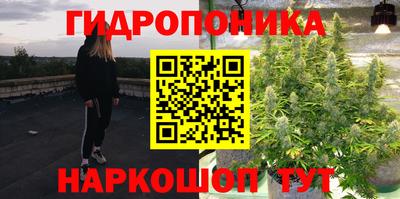 шишки Камышлов