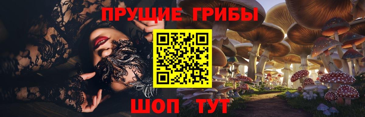 Псилоцибиновые грибы Cubensis Москва
